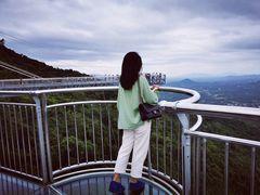 -呀诺达热带雨林