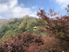 -莫干山风景区