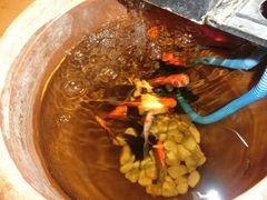 android_upload_pic-鬼味烤翅(南锣鼓巷店)