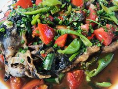 -生态苑农庄(十里画廊遇龙河店)