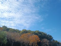 -牛岗山公园