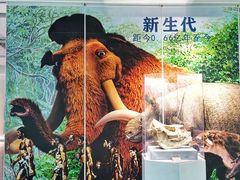 -陕西自然博物馆