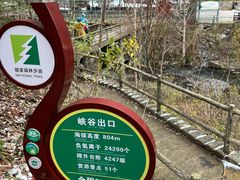 -凤凰山国家森林公园