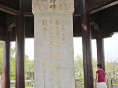 -观潮胜地公园