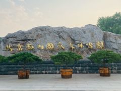 -北京西山国家森林公园