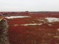 -红海滩国家风景廊道