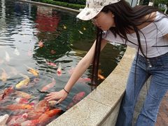 -国色天乡三期陆地乐园