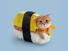 -椿山日本料理