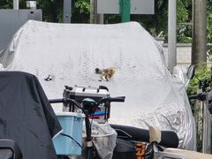 -Again Coffee Roaster(香蜜湖店)