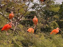 -上海动物园(地铁站)