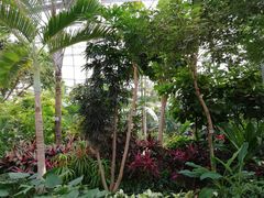 -北京植物园-展览温室