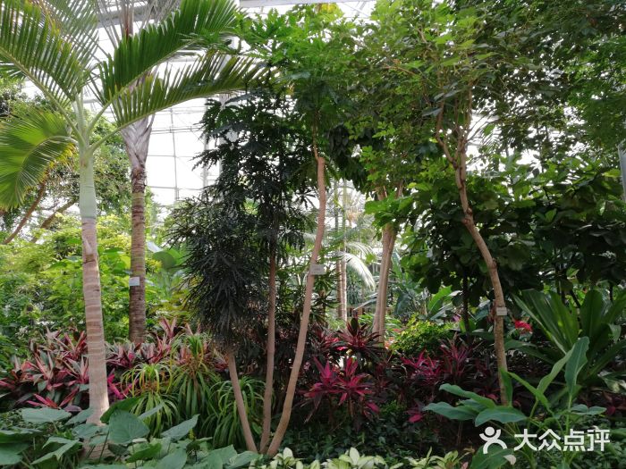 北京植物园-展览温室图片