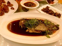 清蒸游水老虎斑-中谷小南国花园酒店·宴会厅