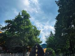 -九华山风景区