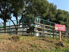 -苏州太湖西山岛开心农场