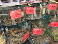 -东来菜馆•手抓海鲜家常菜•海鲜锅贴(鸽子窝店)