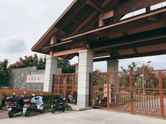 -南湖湿地公园