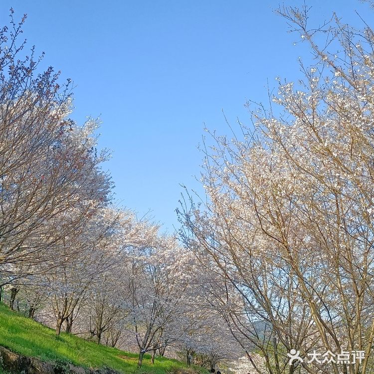 趁着蓝天去就对了