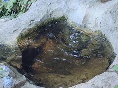 -秦岭终南山世界地质公园翠华山景区