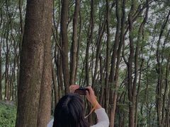 -铁山坪森林公园