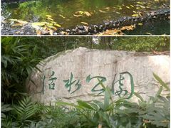 -成都市活水公园