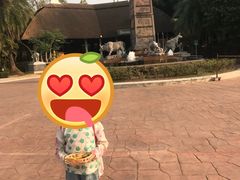 -红舞鞋舞蹈教育(近江校区)