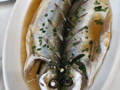 -蟹天蟹地农家菜·阳澄湖大闸蟹(浅水湾店)