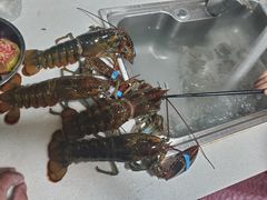 -盒马鲜生(顺义店)
