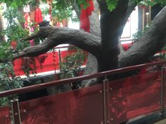 -自助火锅筷乐食代自助餐厅(金辰店)