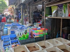 -清平路水族市场