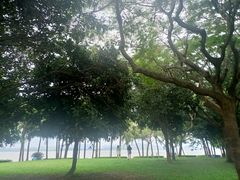 -深圳湾公园(南山区)