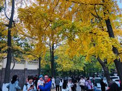 -八大关景区