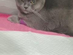 -宠颐生嘉德动物医院