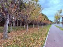 -狼山风景名胜区