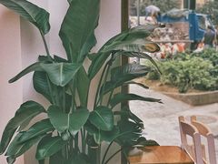 -Line 咖啡(石厦花园店)