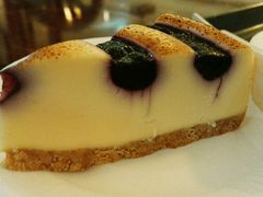 -1868 Café(上海自然博物馆店)
