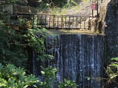 -千岛湖东南湖区