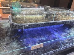 -传统菜农庄(皇姑路店)