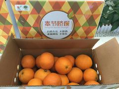 -云腾食府·云南菜