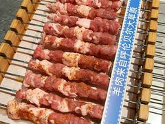 呼伦贝尔羊肉串-很久以前羊肉串(朝阳路店)