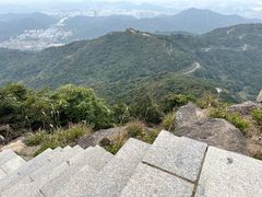 -阳台山森林公园