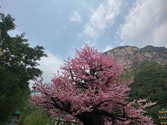 -河南宝泉旅游区