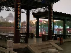 -莲花池公园
