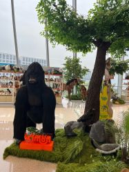 -IMON·HANSA潮玩玩偶毛绒玩具(通州万象汇店)