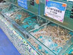 -渔家火锅·海鲜自助餐·演艺(亚龙湾天域酒店)