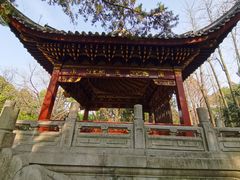 -汇龙潭