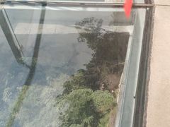 -溪口-滕头旅游景区