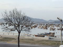 -春妮海味饭店·海景餐厅·海菜包子·大连海鲜