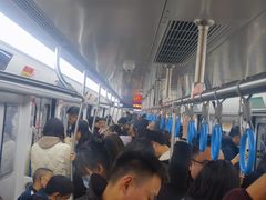 -大龙山(地铁站)