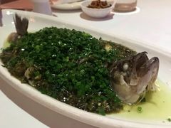 烧椒鲈鱼-尘香•传统川菜(创汇首座店)